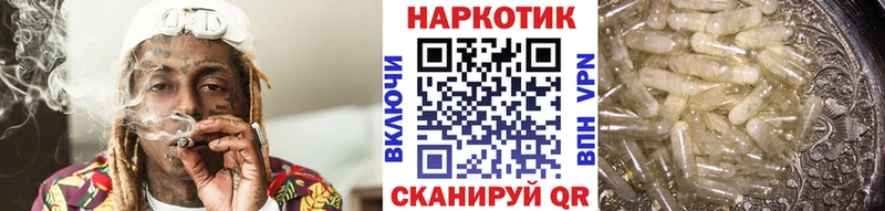 Что такое Богородицк МАРИХУАНА  Cocaine  Метадон  МЕФ  ГАШ 