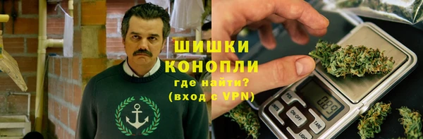 индика Снежногорск