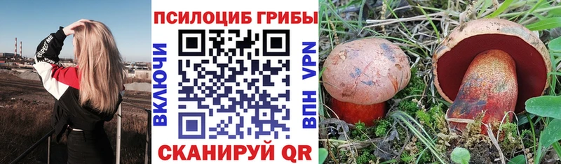 Галлюциногенные грибы ЛСД  наркошоп  Богородицк 