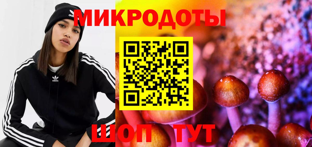 Богородицк  Галлюциногенные грибы прущие грибы  Вход с VPN 